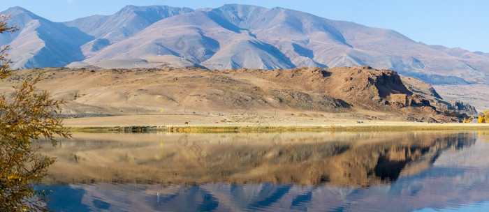 湖的阿尔泰山全景的阿尔泰景观的山的时间一年秋天湖阿尔泰山全景的阿尔泰景观的山的时间一年秋天