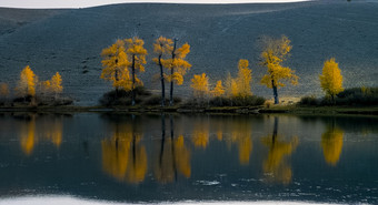 湖的阿尔泰山全景的阿尔泰景观的山的时间一年秋天湖阿尔泰山全景的阿尔泰景观的山的时间一年秋天