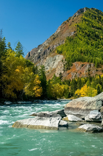 的山河流在的岩石的河流是阿尔泰自然阿尔泰山河流在的岩石的河流是阿尔泰自然阿尔泰