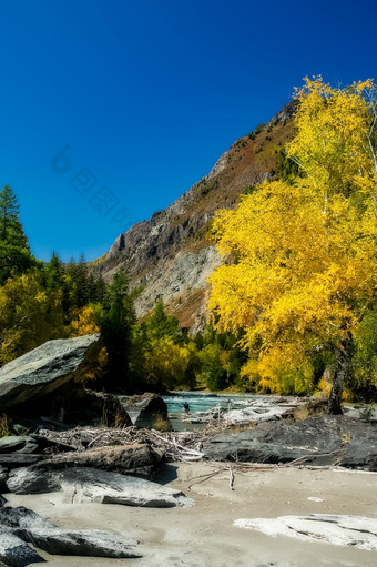 的山河流在的岩石的河流是阿尔泰自然阿尔泰山河流在的岩石的河流是阿尔泰自然阿尔泰