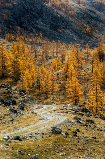 的阿尔泰山的景观自然的阿尔泰山和的峡谷之间的的山的阿尔泰山景观自然的阿尔泰山和的峡谷之间的的山