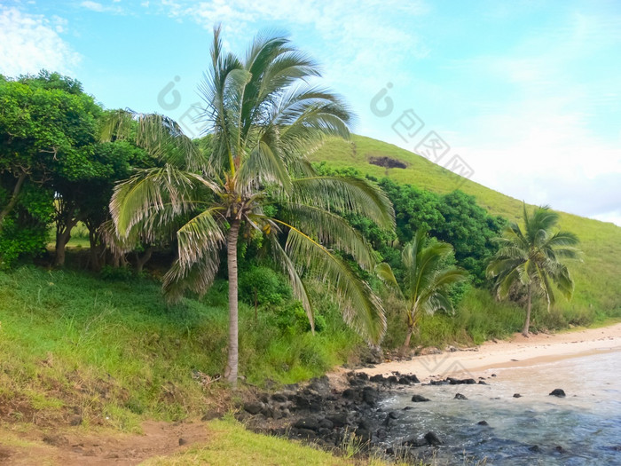 的自然复活节岛景观植被和海岸自然复活节岛景观植被和海岸