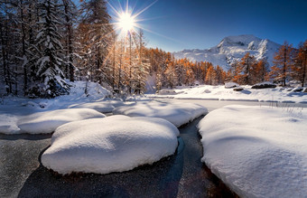 雪山的法国阿尔卑斯山脉蓝色的天空与太阳降雪秋天与亚纶树