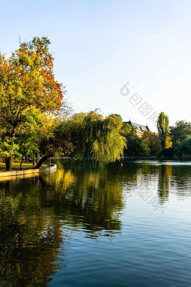 生动的绿色景观附近的湖cismigiu花园gradinacismigiu公共公园的城市中心布加勒斯特