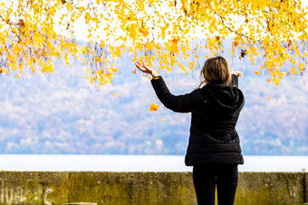 回来视图独自一人女人享受秋天扔下降叶子秋天小巷秋天景观橙色树叶公园orsova罗马尼亚