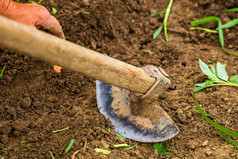 关闭如何工具为挖掘孤立的花园的地面