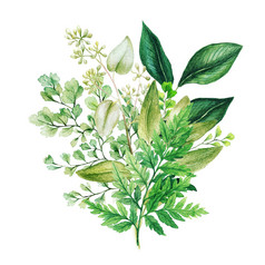 Herbal水彩花束与蕨类植物和铁线蕨手画水彩插图