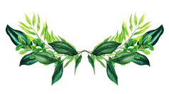 绿色植物对称的装饰花束组成新鲜的绿色叶子和分支机构手画水彩插图设计模板