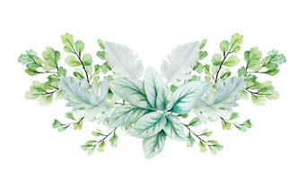 绿色植物对称的装饰花束组成羊肉耳朵叶子和铁线蕨手画水彩插图设计模板