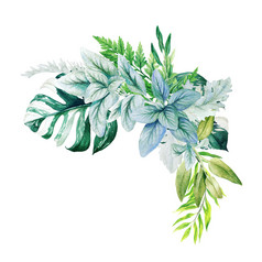 绿色植物装饰角落里安排组成新鲜的绿色叶子monstera分支机构和蕨类植物手画水彩插图设计模板