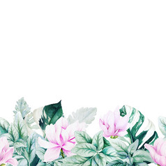 水彩木兰银叶子和monstera叶子无缝的边境页脚手画插图