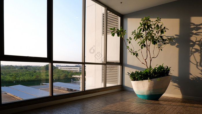 阳光闪亮的通过玻璃墙与装饰室内植物内部办