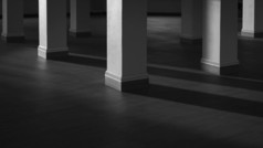基地广场柱子集团与阳光和影子表面木瓷砖地板上黑色的和白色风格室内体系结构概念