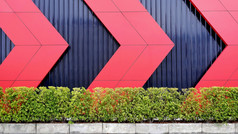 关闭红色的箭头模式黑色的波纹金属表墙后面绿色布什墙外体系结构装饰设计概念