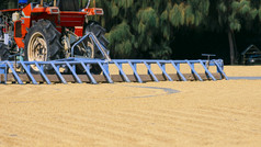 部分红色的拖拉机工作粮食帕迪大米干燥院子里内部大米机区域农业行业概念