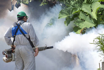 后视图户外医疗保健工人使用成雾机喷涂化学消除蚊子和防止登革热发热杂草丛生的贫民窟区域
