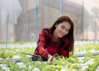 亚洲女人<strong>农民</strong>使用平板电脑和笔记本为检查的质量有机<strong>蔬菜种植</strong>使用水培法