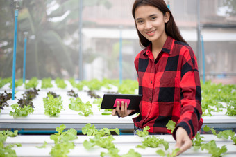 亚洲女人<strong>农民</strong>使用平板电脑和笔记本为检查的质量有机<strong>蔬菜种植</strong>使用水培法