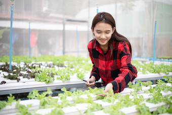 亚洲女人<strong>农民</strong>使用平板电脑和笔记本为检查的质量有机<strong>蔬菜种植</strong>使用水培法