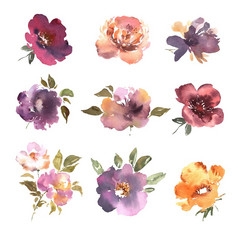 水彩花手画色彩斑斓的美丽的花集与粉红色的红色的蓝色的开花植物为卡片打印和邀请向量插图
