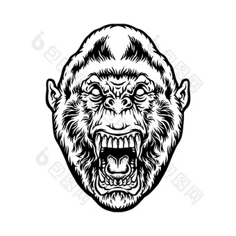 愤怒的野兽大猩猩头轮廓插图为你的工作标志吉祥物商品t恤贴纸和标签设计海报问候卡片广告业务公司品牌