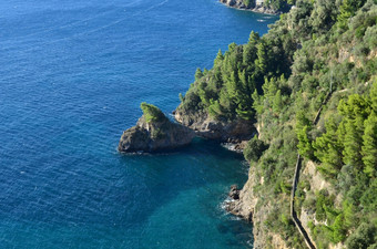 <strong>郁郁葱葱</strong>的树沿着的阿海岸沿着的萨莱诺海湾意大利