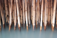 竹子栅栏保护沙滩从海波