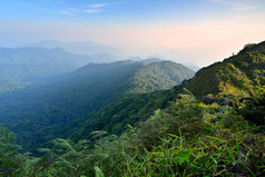 早....雾热带山范围泰国