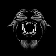 的向量标志狮子为纹身t恤打印设计穿破狩猎风格狮子背景这手画将不错的使的黑色的织物帆布