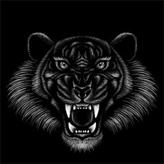 的向量标志老虎为纹身t恤设计穿破狩猎风格大猫打印黑色的背景这手画为黑色的织物帆布的向量标志老虎为纹身t恤设计穿破狩猎风格大猫打印黑色的背景这手画为黑色的织物帆布