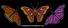 的向量标志蝴蝶为纹身t恤设计穿破可爱的打印风格蝴蝶背景这手画为黑色的织物帆布