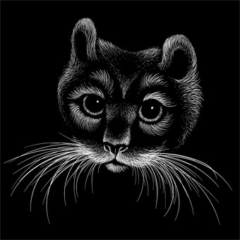 的向量标志猫为纹身t恤设计穿破可爱的打印风格猫背景这手画将不错的使的黑色的织物帆布的向量标志猫为纹身t恤设计穿破可爱的打印风格猫背景这手画将不错的使的黑色的织物帆布