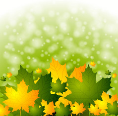 秋天背景与绿色而且黄色的叶子向量每股收益