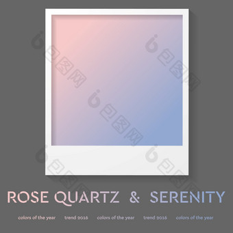 宝丽来框架与趋势颜色玫瑰石英和宁静宝丽来框架与趋势颜色玫瑰石英和宁静设计