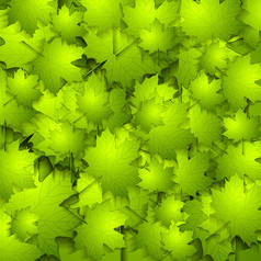 绿色夏天叶子纹理绿色夏天叶子明亮的纹理