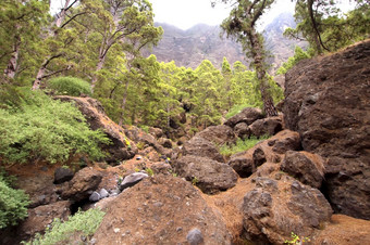 峡谷这些石头雷东达斯岩浆岩石火山口taburiente国家公园生物圈储备泽帕地方<strong>政府</strong>投资公司棕榈金丝雀岛屿西班牙欧洲