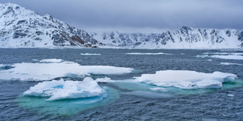 漂移浮动冰和冰雪覆盖山冰山冰浮冰艾伯特土地北极斯匹次卑尔根斯瓦尔巴特群岛挪威欧洲漂移浮动冰艾伯特土地挪威