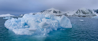 漂移浮动冰和冰雪覆盖山冰山冰浮冰艾伯特土地北极斯匹次卑尔根斯瓦尔巴特群岛挪威欧洲漂移浮动冰艾伯特土地挪威