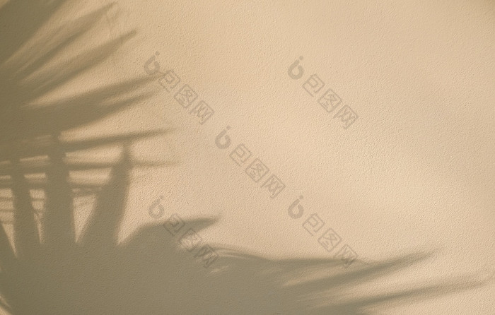米色墙与摘要影子从棕榈叶子背景设计简约夏天壁纸的想法平躺有创意的复制空间