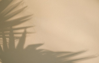 米色墙与摘要影子从棕榈叶子背景设计<strong>简约</strong>夏天壁纸的想法平躺有<strong>创意</strong>的复制空间