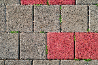 多色的铺平道路板和小绿色草日益增长的在他们前视图灰红瓷砖使用回收材料创建跟踪改善当地的生活