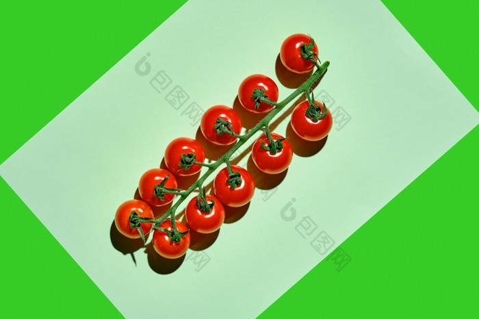 分支成熟的红色的樱桃西红柿绿色纸背景前视图新鲜的蔬菜海报