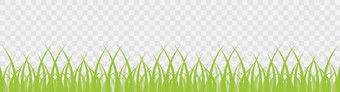 绿色草透明的背景有机形状边境孤立的草地自然向量横幅向量插图绿色草透明的背景有机形状边境孤立的