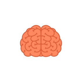 大脑人类大脑图标向量插图平大脑人类大脑图标