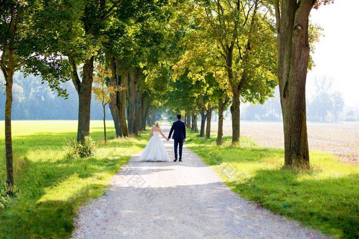 的年轻的婚礼夫妇婚礼拍摄年轻的婚礼夫妇婚礼拍摄