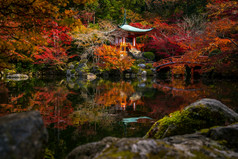 著名的醍寺庙与秋天红色的颜色叶子《京都议定书》日本