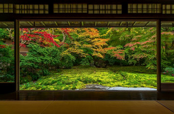 色彩斑斓的秋天日本花园琉璃院寺庙《京都议定书》日本