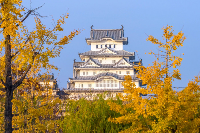 绿城图片包图网