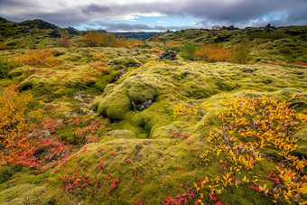 冰岛美丽的景观冰岛自然景观著名的旅游景点