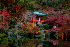 景观醍醐寺庙与色彩斑斓的枫木树秋天《京都议定书》日本